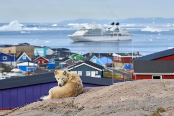 Seabourn Quest - Dog, Credit. Mike Louagie.jpg